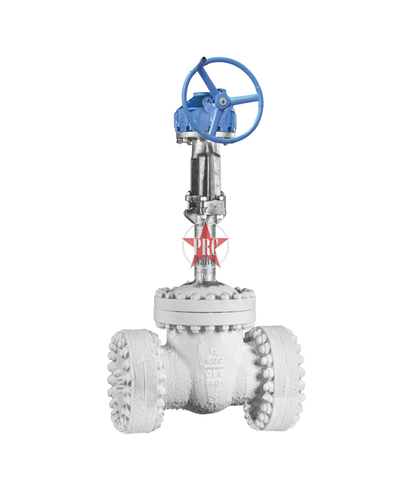 Stainless Steel Low Temperature Gate Valve