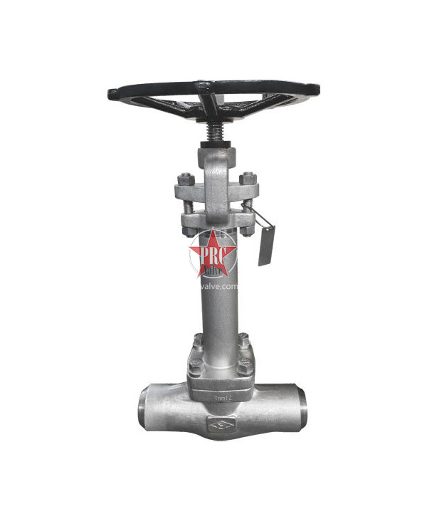 Low temperature gate valve