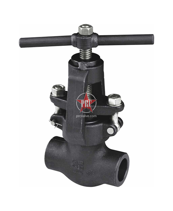 Forged Steel Globe Valves