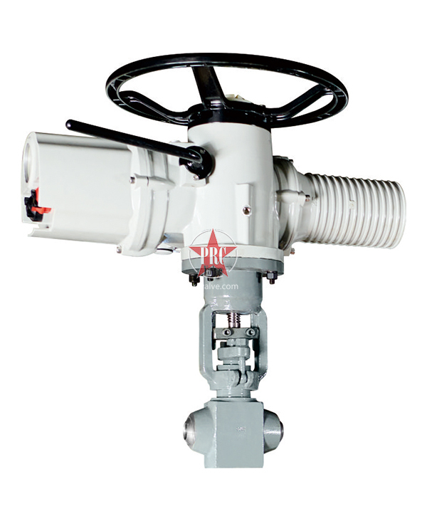 power station globe valve