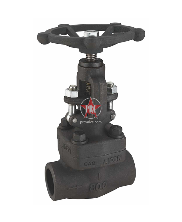 Forged Steel Globe Valves