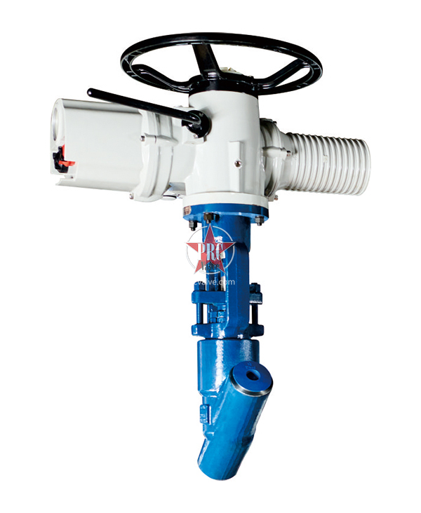 Power Station Trap Valve