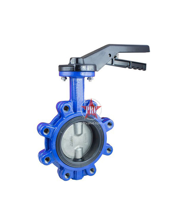Lug type butterfly valve