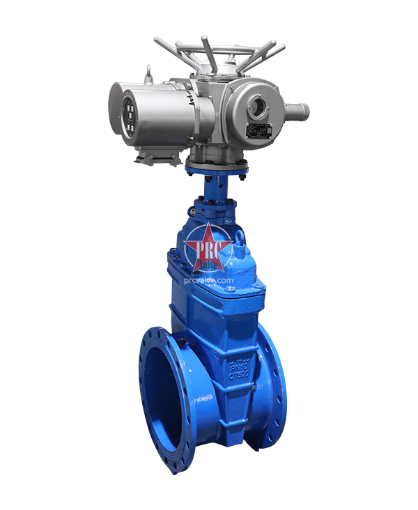 Electric gate valve