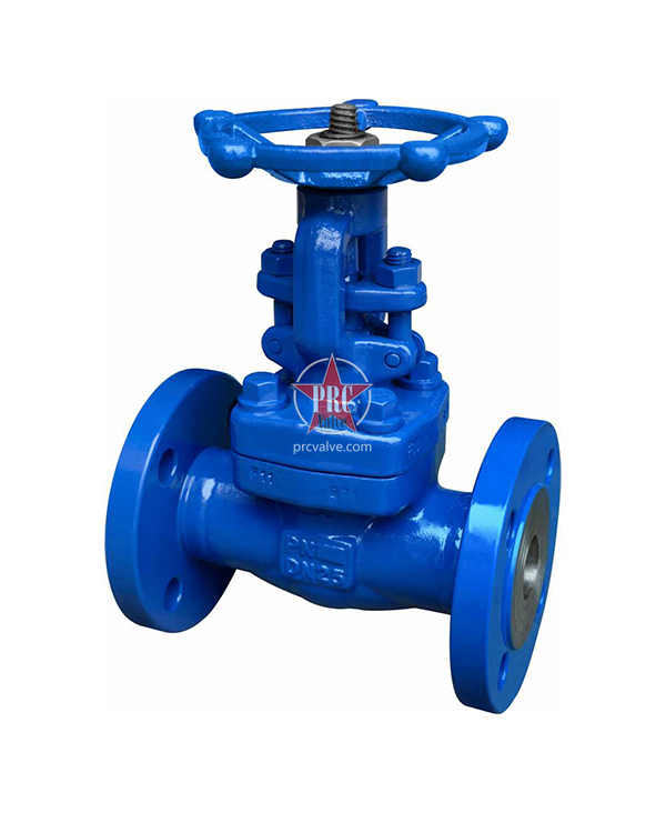 Forged steel gate valve