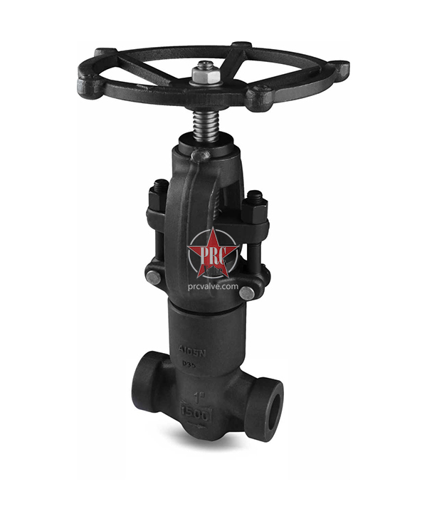Forged Steel Self-Sealing Globe Valve