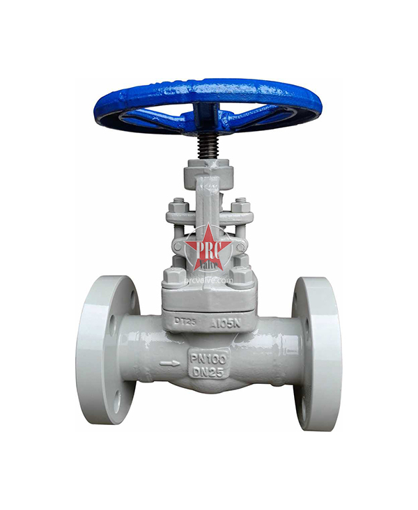 Forged Steel Globe Valves