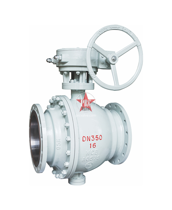 Fixed ball valve