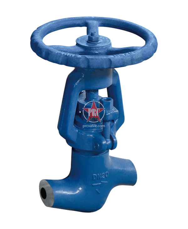 Power station globe valve