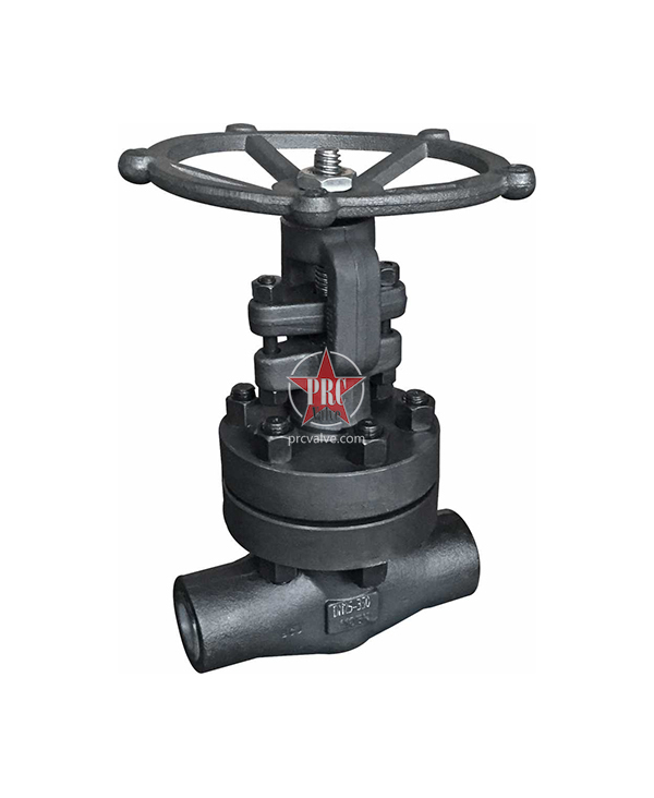 Forged steel gate valve