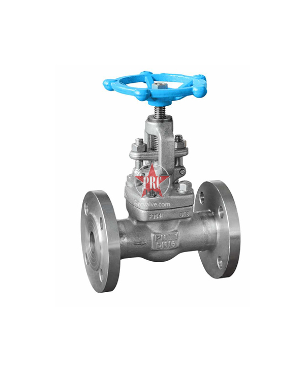Forged Steel Globe Valves