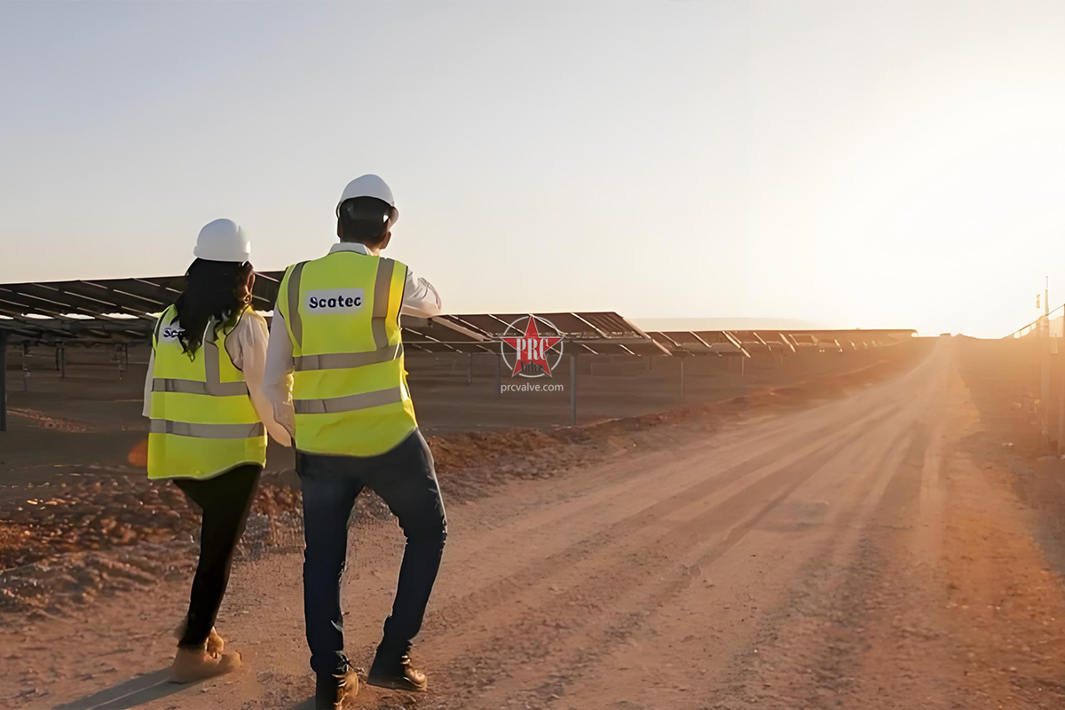 Scatec Signs PPA for 1.1GW Solar Project in Egypt