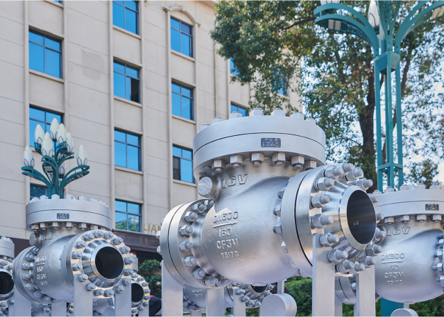 良固股份集团 —— DN300 微阻缓闭止回阀