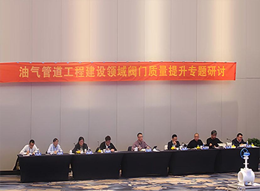 Wenzhou Seminar Jointly Seeks New Strategies For Improving Valve Quality