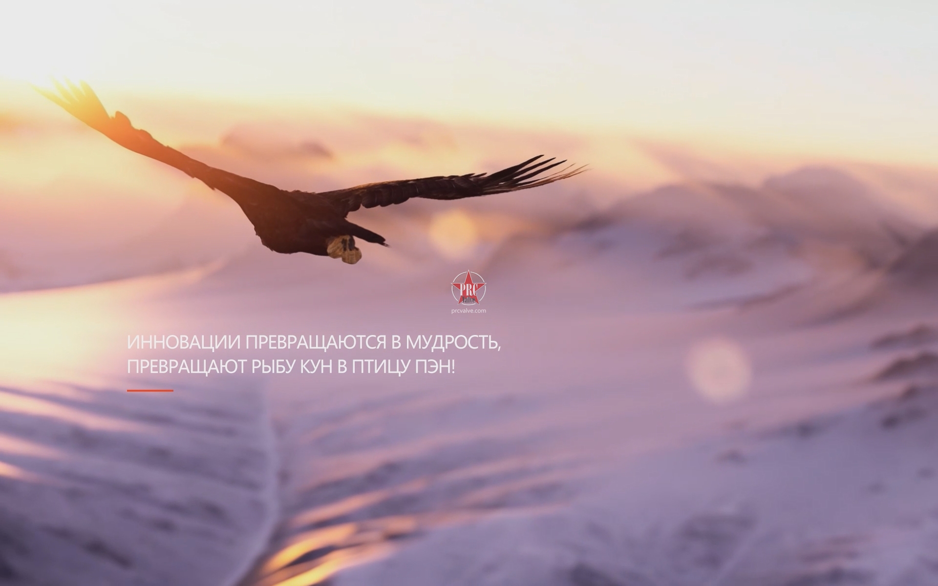 Корпоративный презентационный фильм