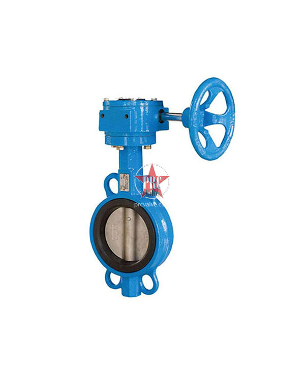 Clamped soft seal butterfly valve