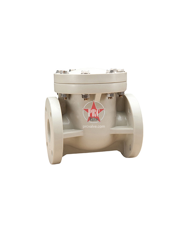 All-plastic swing check valve