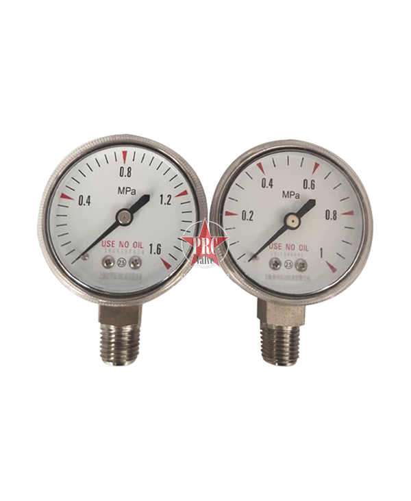 Pressure Gauge