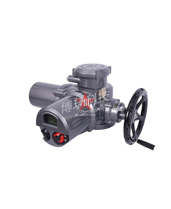 Multi-turn electric actuator