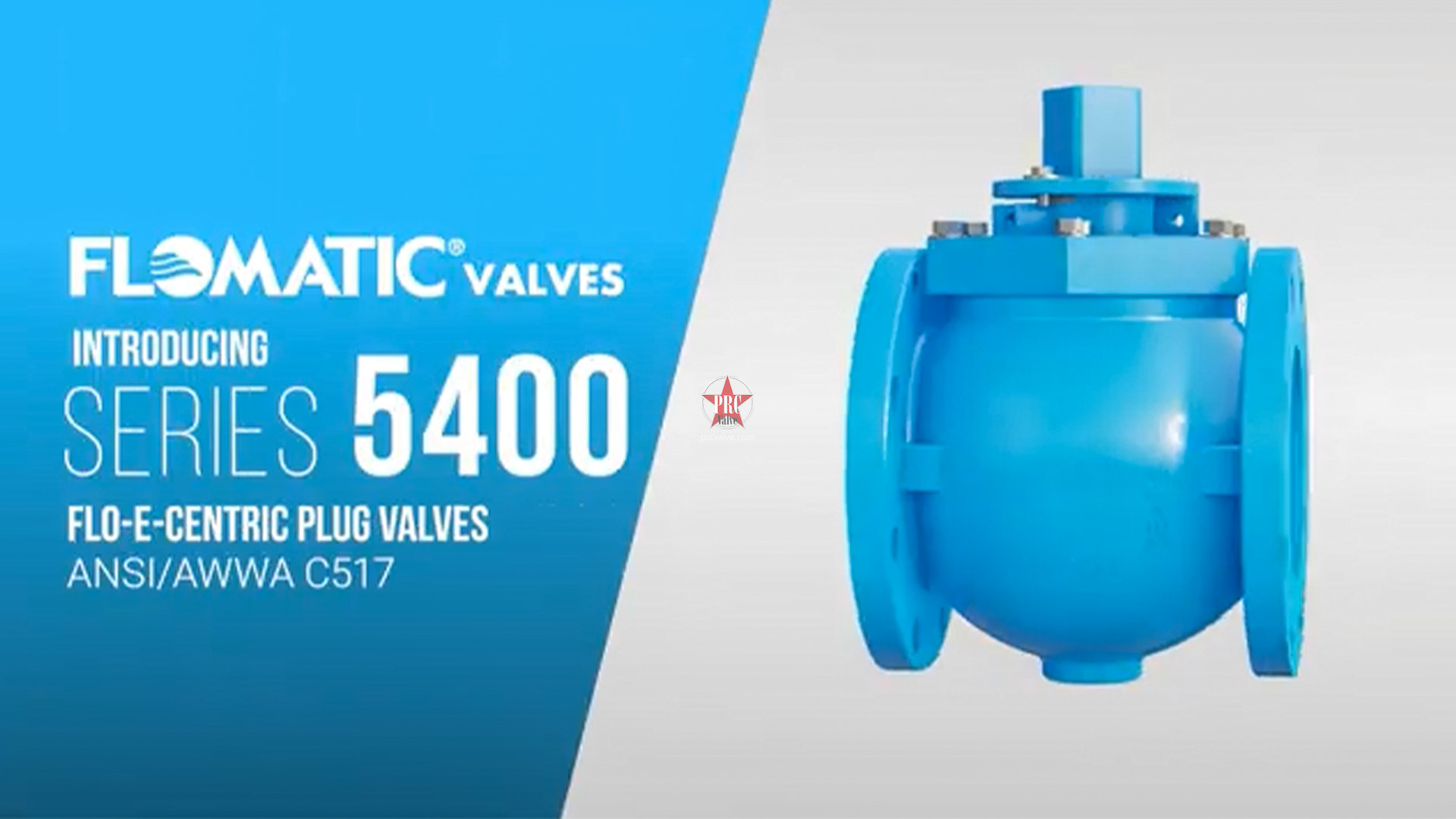 Flo-E-Centric Plug Valves by Flomatic Valves（偏心旋塞阀）