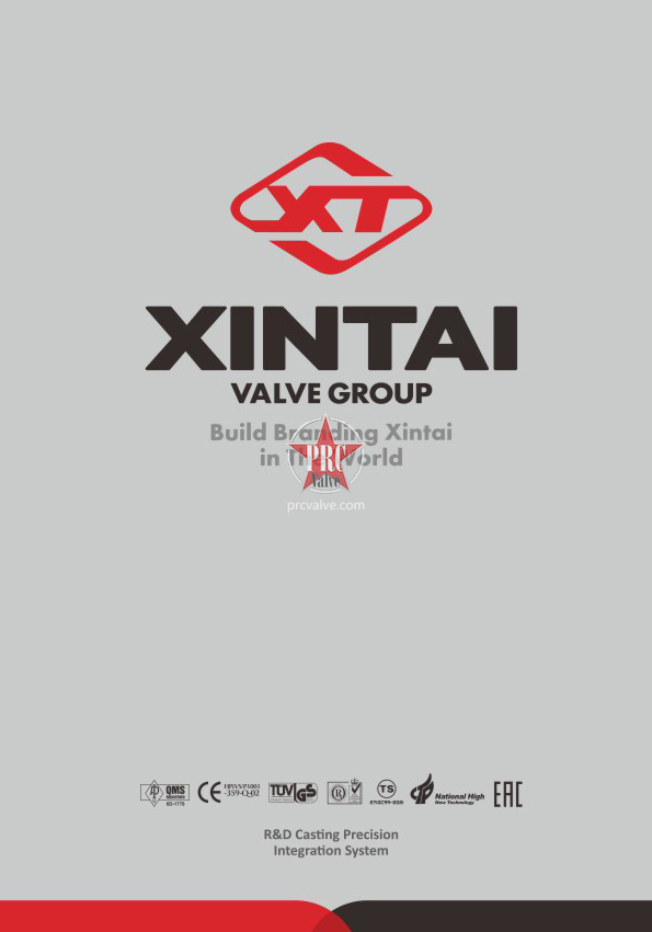 Xintai Valve Group2