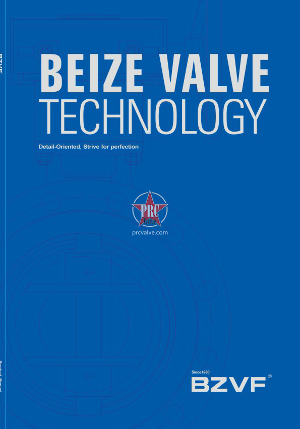 Beize valve Technology