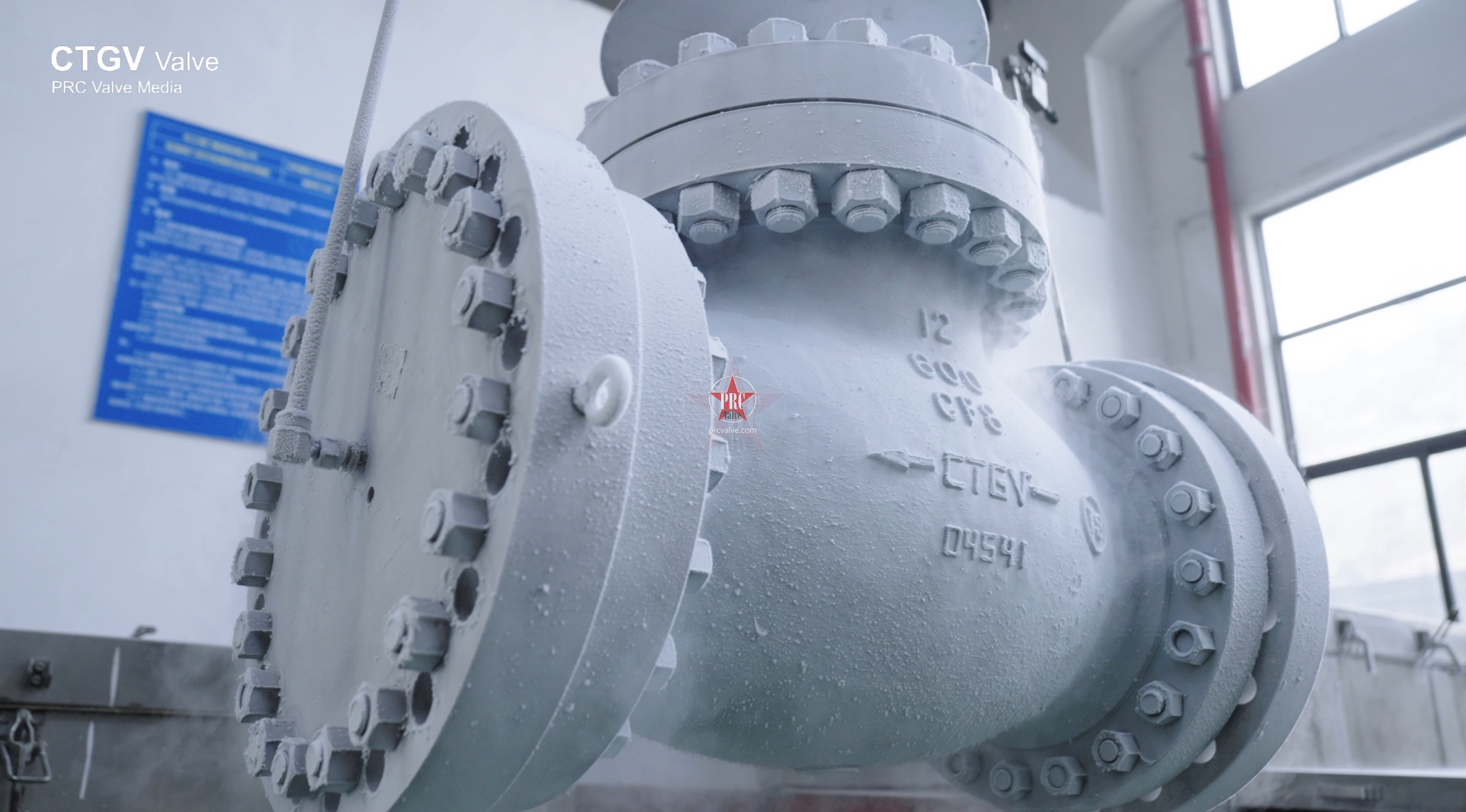 Low Temperature Globe Valve - Tiangong