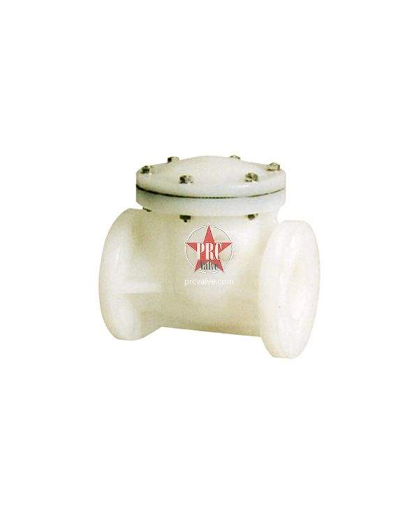 All-plastic swing check valve