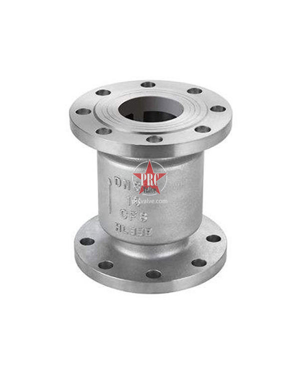 Vertical flange check valve
