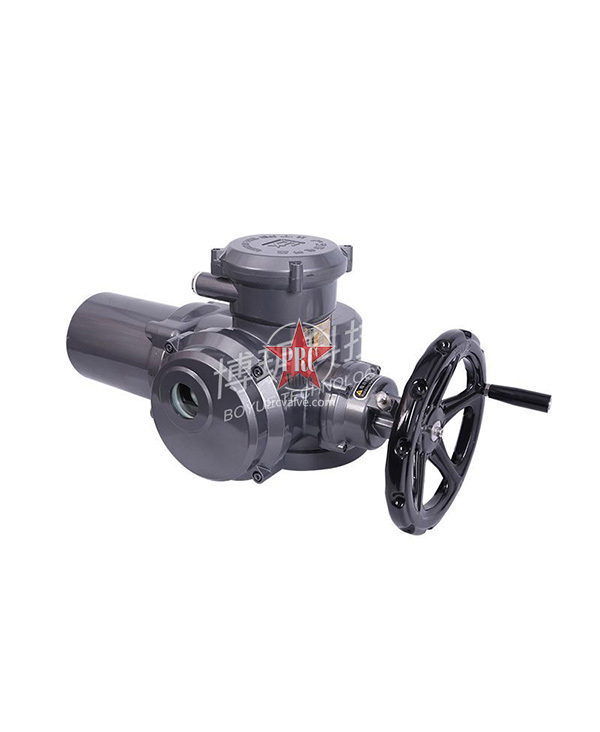 Multi-turn electric actuator