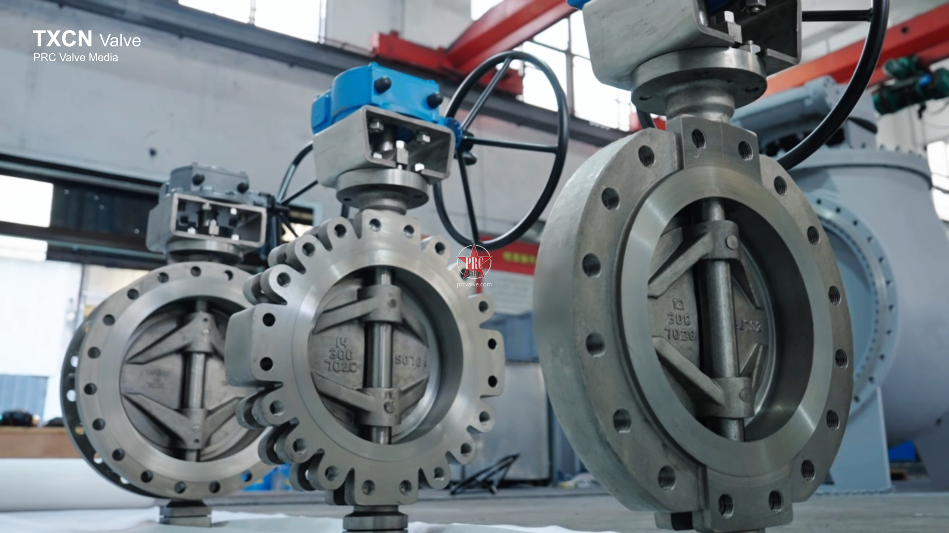 12-D373PPL-300LB & 14-D373PPL-300LB ANSI Lug-Type Butterfly Valves - TXCN