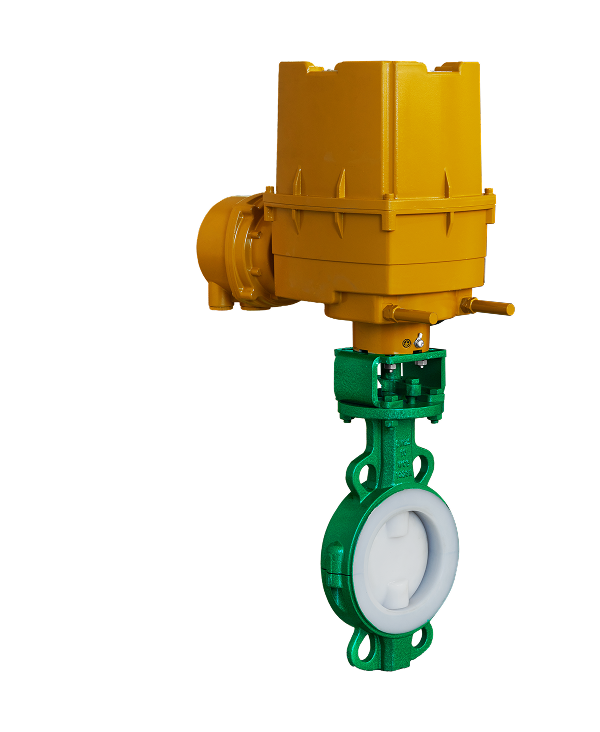 衬氟对夹式蝶阀