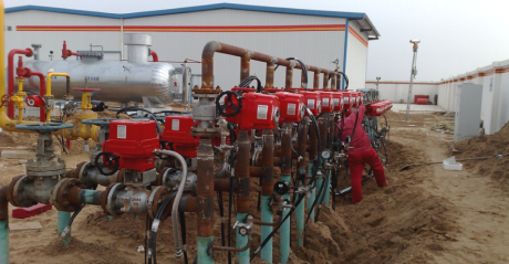 2011 Leapfrog Development 