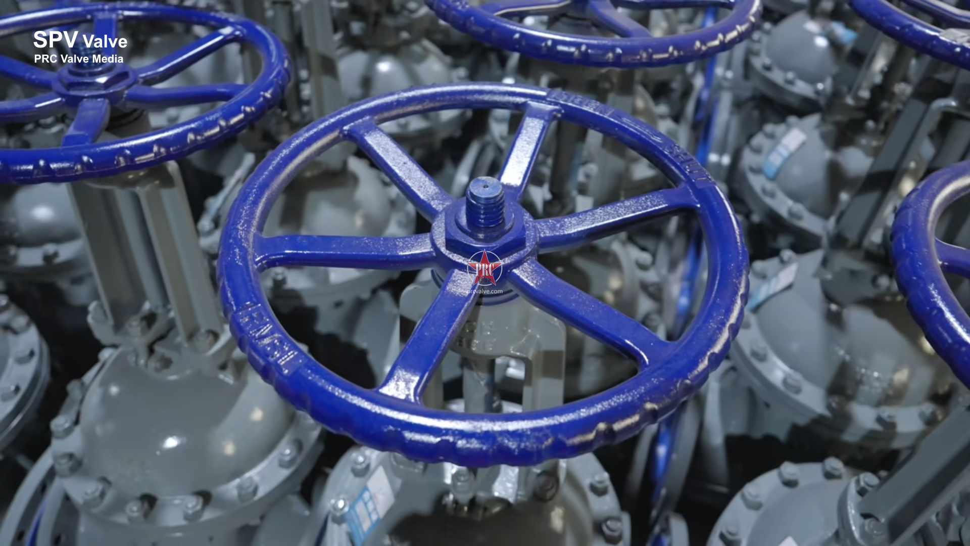 Z41H-16C DN350 PN16 Gate Valve-SPV