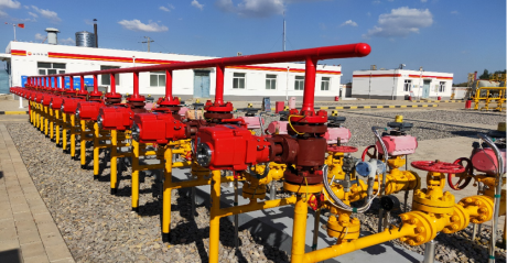 2018 Import Substitution with Domestic Solutions