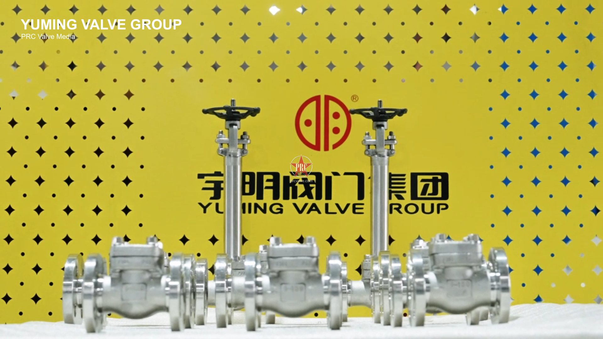 F304 Forged Steel Flanged Check Valve – YuMing Valve Group