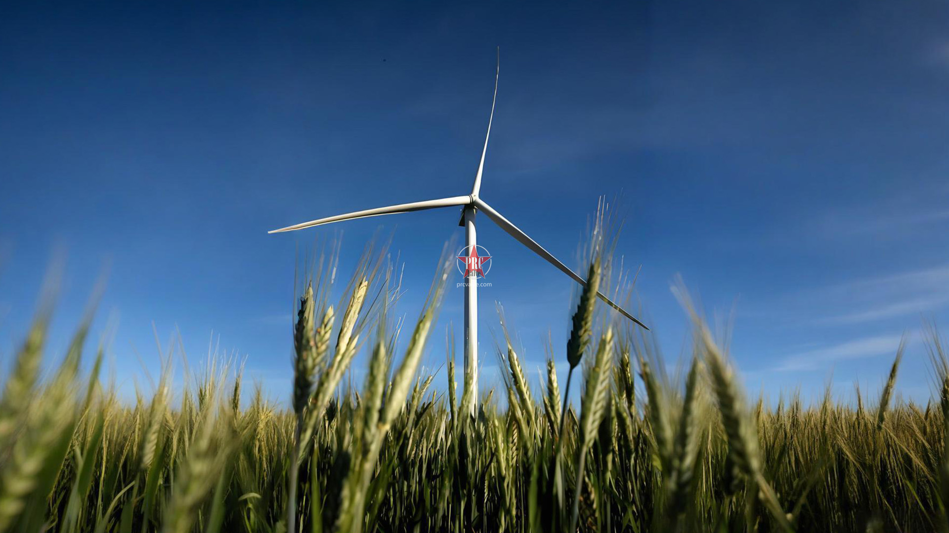 GE Vernova to supply workhorse wind turbines for Santa Maria de las Fuentes Wind Farm in Spain