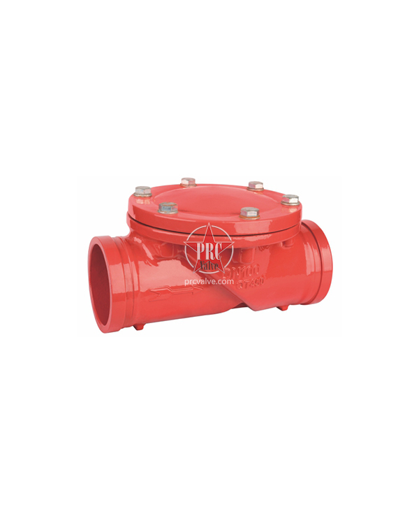 Rubber flap check valve