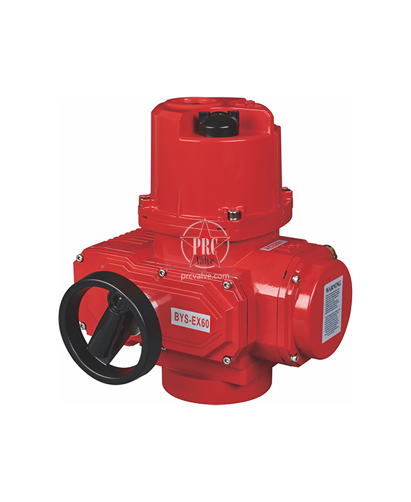 CT6精小型防爆多回转