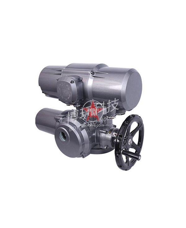 Multi-turn electric actuator