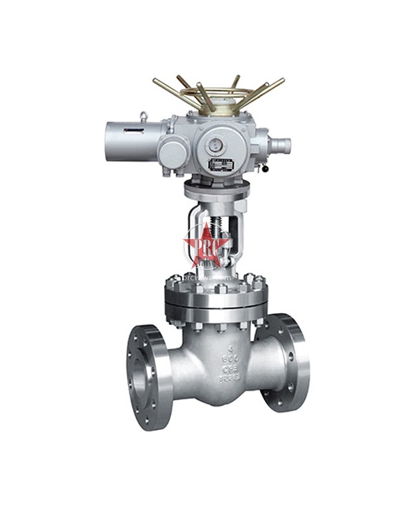Electric stainless steel gate valve
