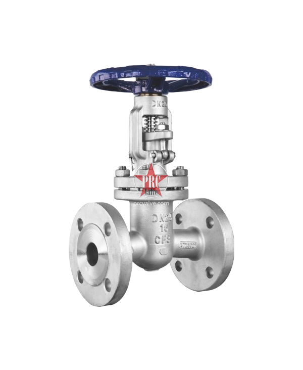National standard gate valve