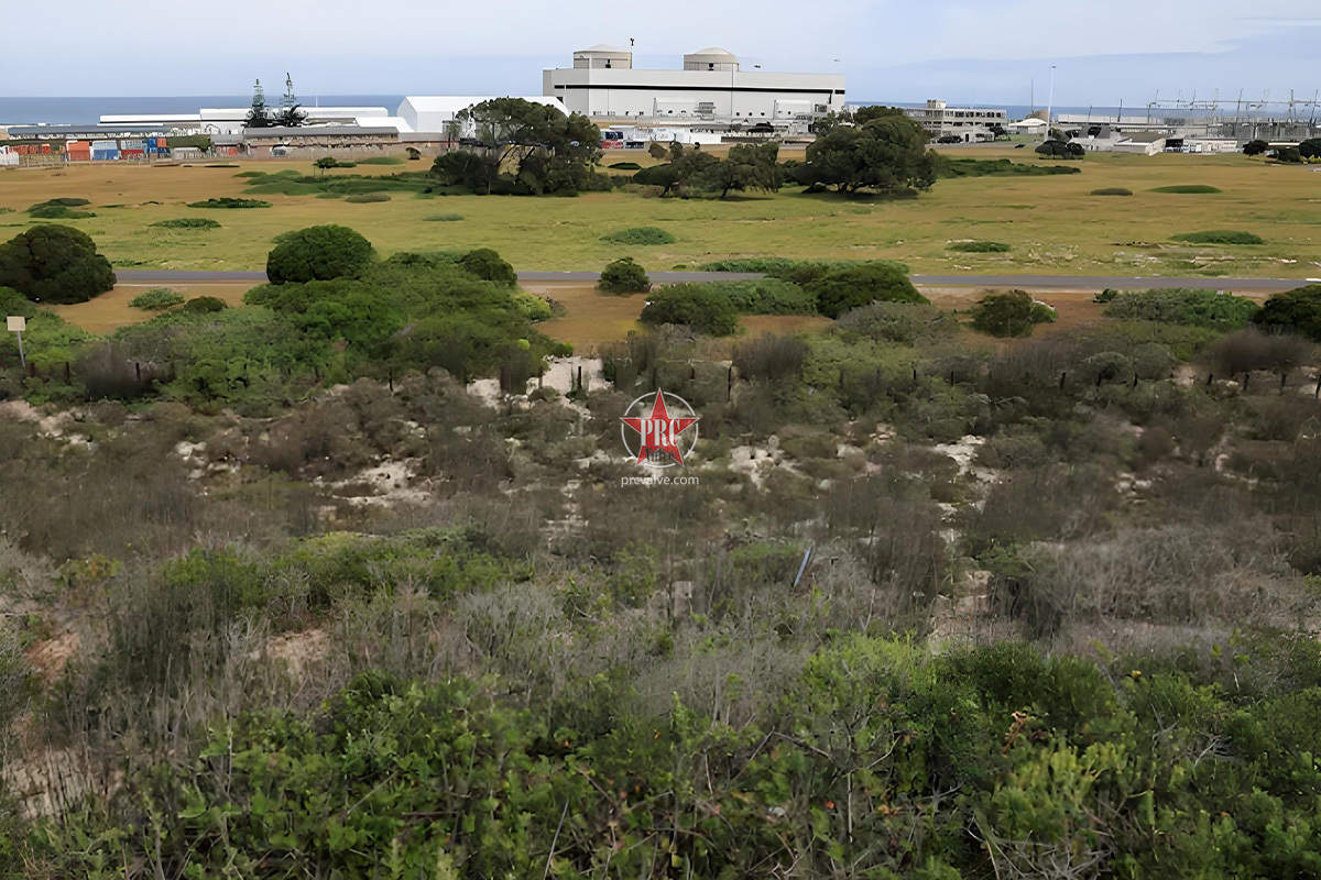 South Africa’s Koeberg Nuclear Plant Refit Boosts Power Supplies