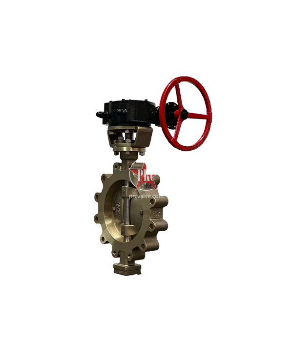 Special Material Butterfly Valve - BAOYI Group Co.,Ltd.