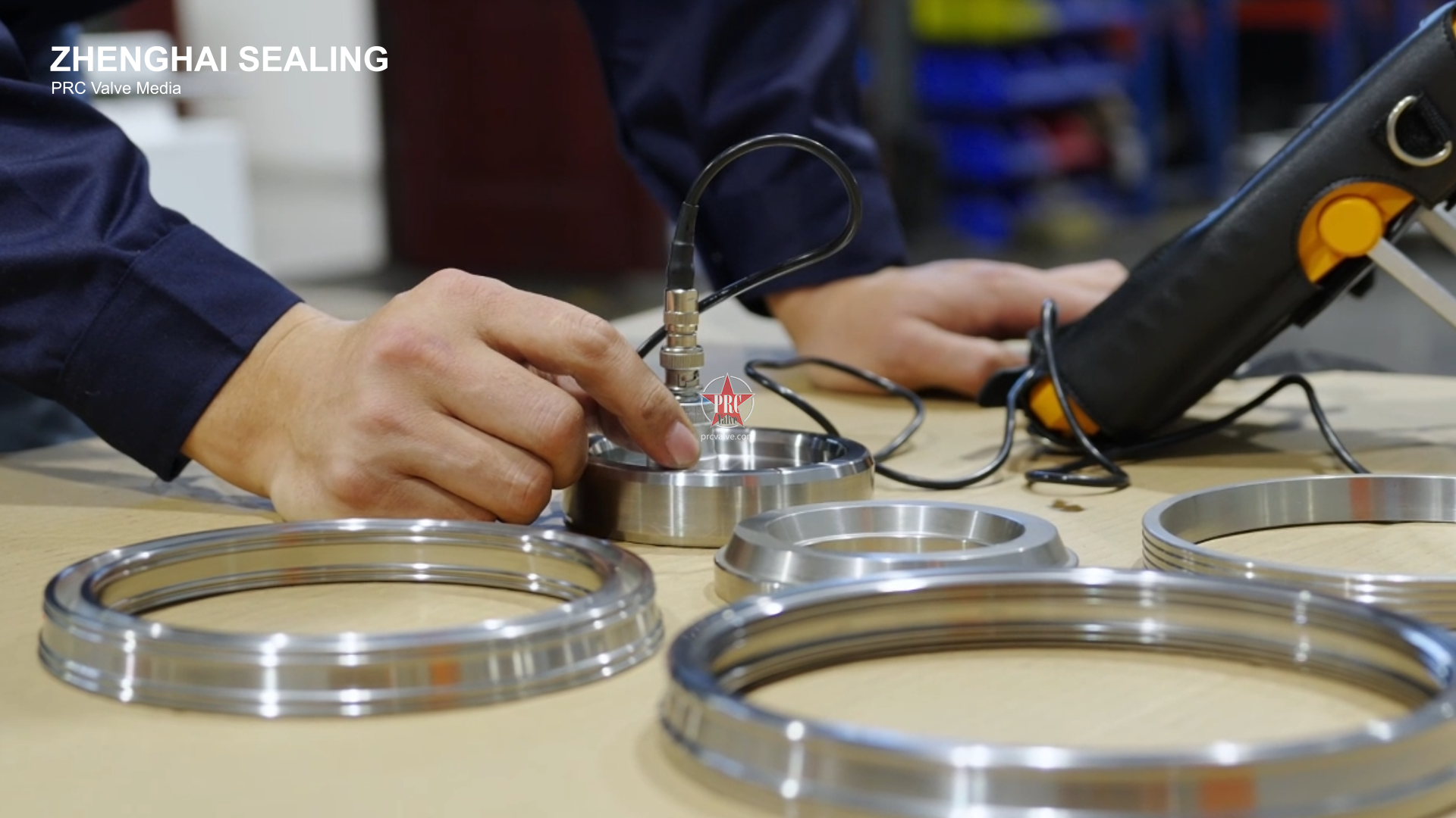 Tubing Hanger Seal Ring –ZEHA