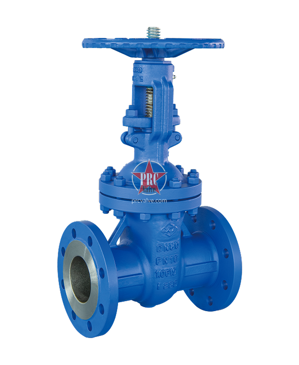 Rising Stem Gate Valve