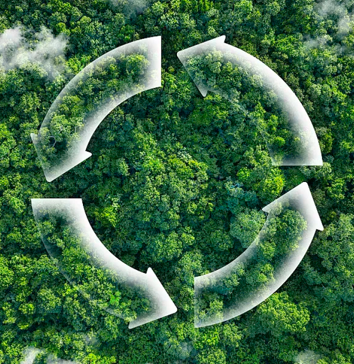 By building digital factories and adopting innovative management approaches, the company reduces the consumption of natural resources and minimizes ecological impact, driving the transition toward a low-carbon future.