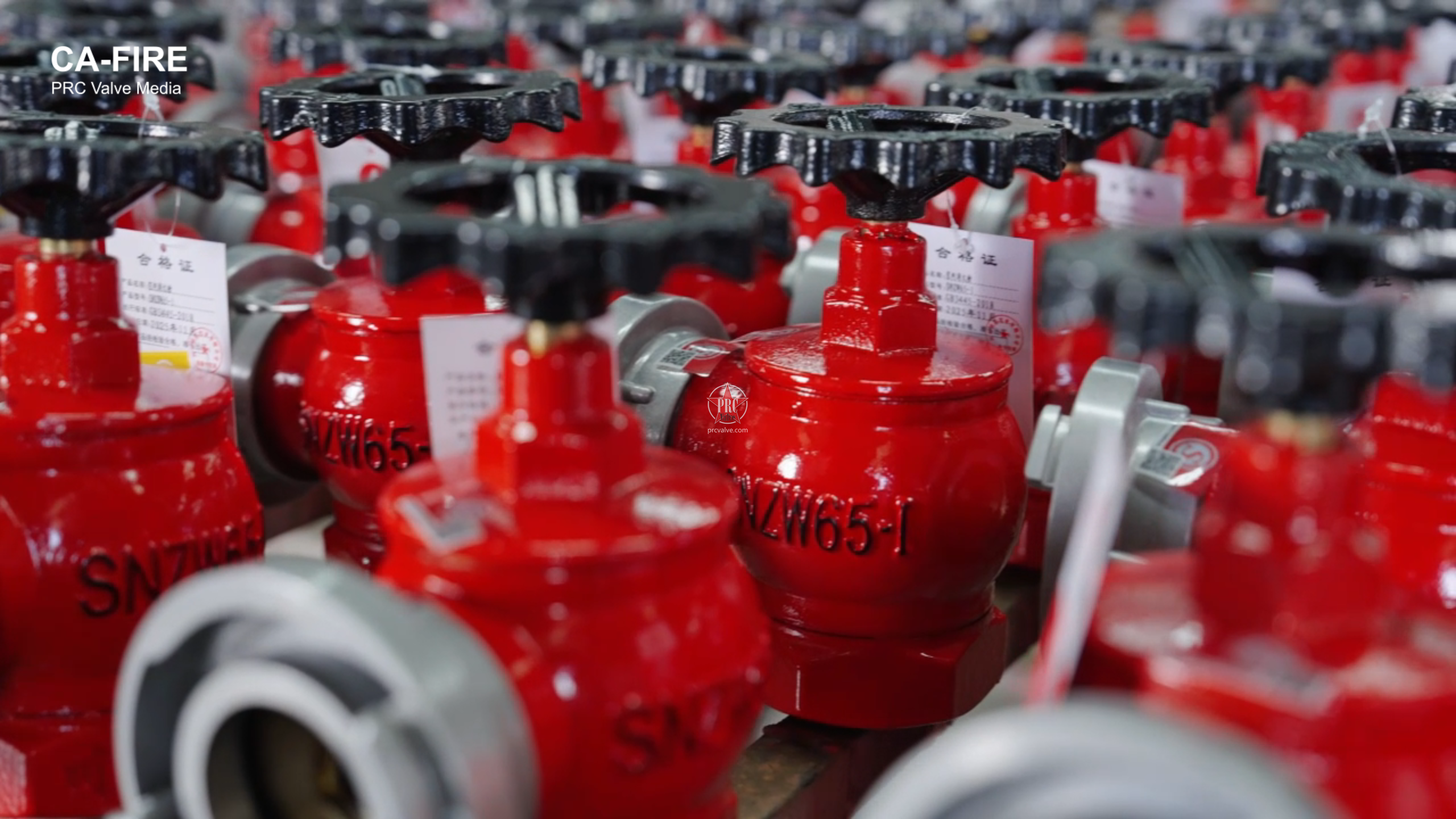 SNZW65-I Indoor Fire Hydrant –CA-FIRE