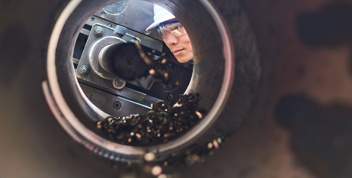 �����ֳ�