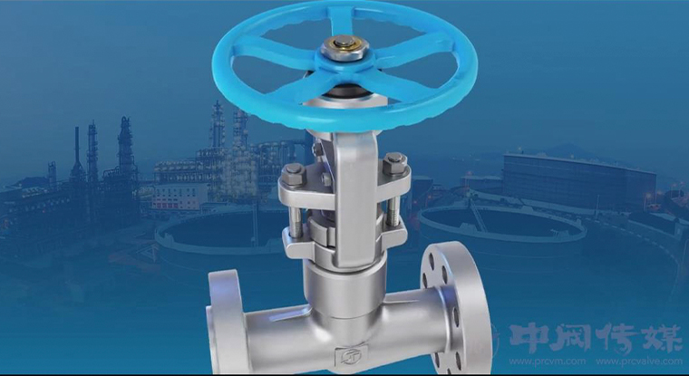 高温高压加氢截止阀